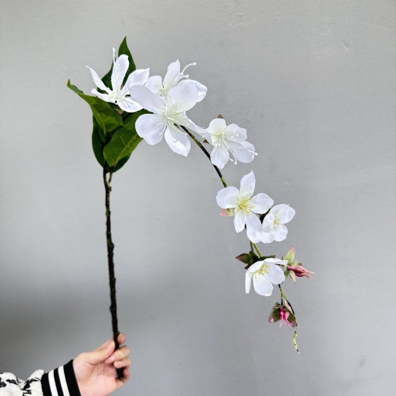 Artificial Hanging Jasmine Flo - огляд і ціна Photography Graduation