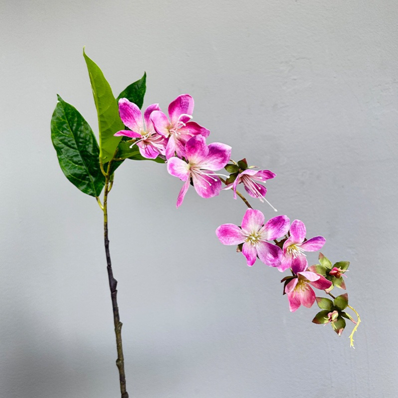 Artificial Hanging Jasmine Flo - огляд і ціна Photography Graduation