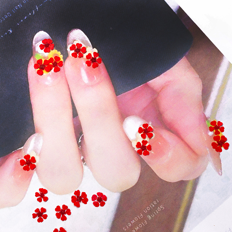 96Pcs Mini 1.5cm Natural Press - огляд і ціна Photography Graduation