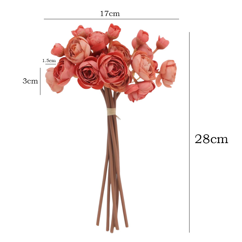 11INCH 6pcs-1set Small Camelli - огляд і ціна Photography Graduation