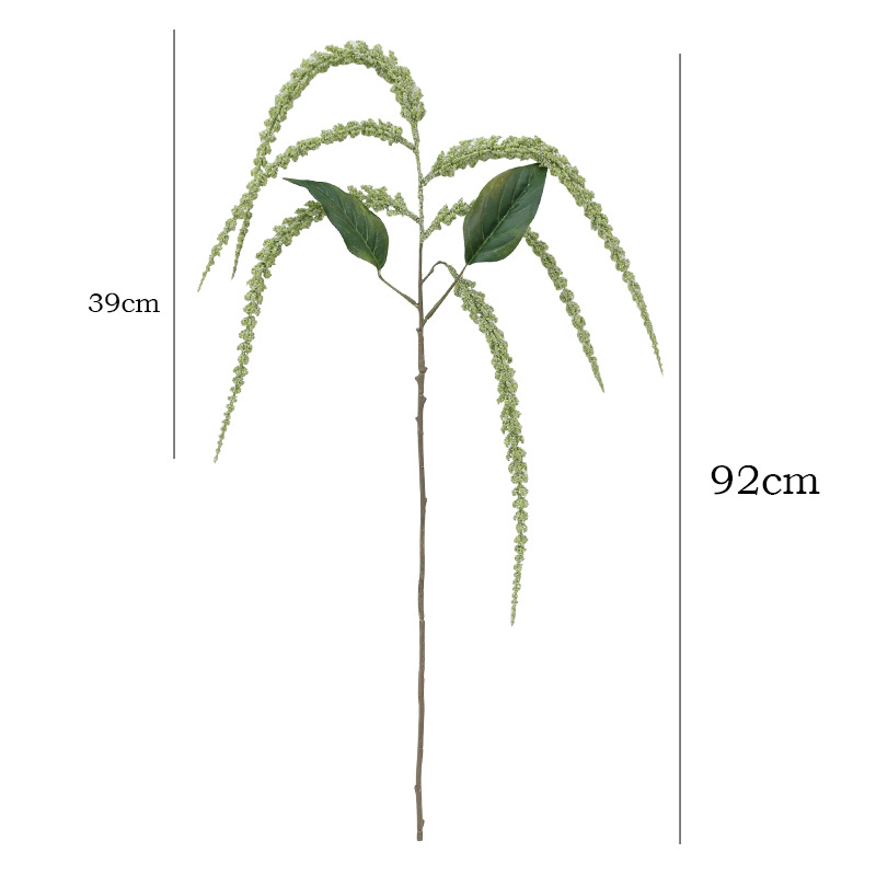 36.2 Inches Artificial Strings - огляд і ціна Photography Graduation