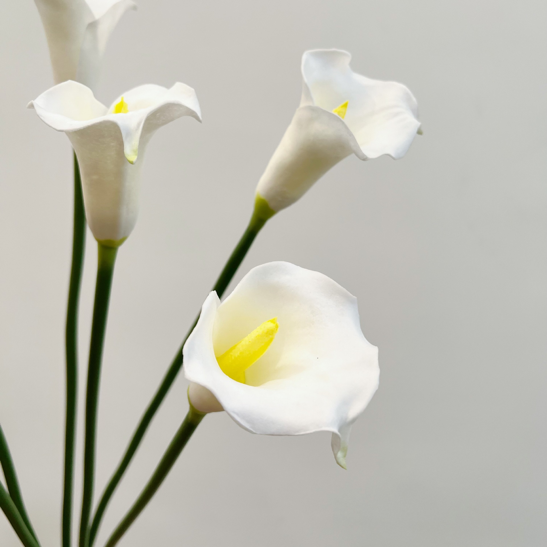 26 Inch Single Stem Crescent C - огляд і ціна Photography Graduation