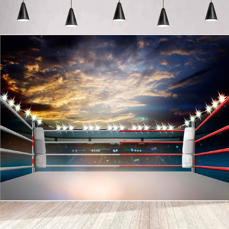 Lighting 3D Boxing Arena Photo - огляд і ціна Photography Competition