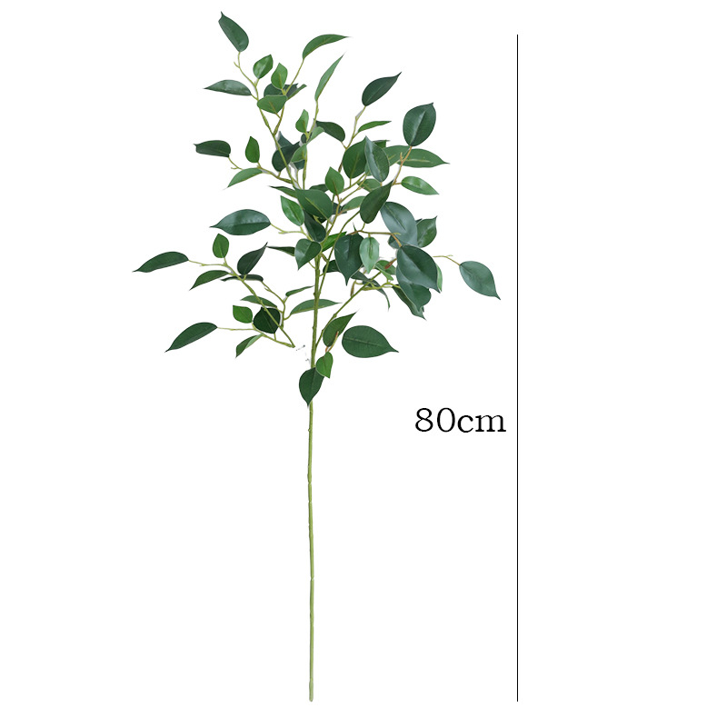 31.5 Inches Artificial Ficus B - огляд і ціна Photography Graduation