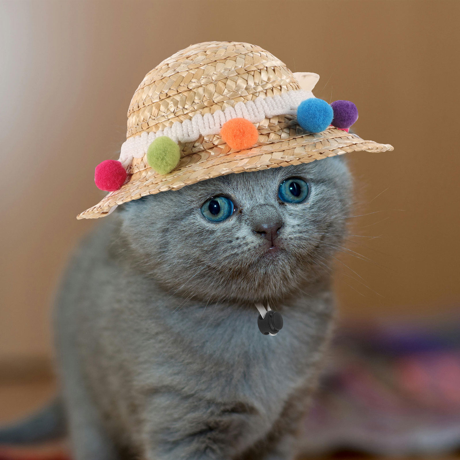 Dog Summer Straw Hat Woven Pet - огляд і ціна Photography Competition